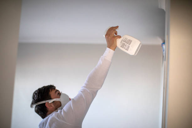 Littleton Common, MA Mold Removal Company
